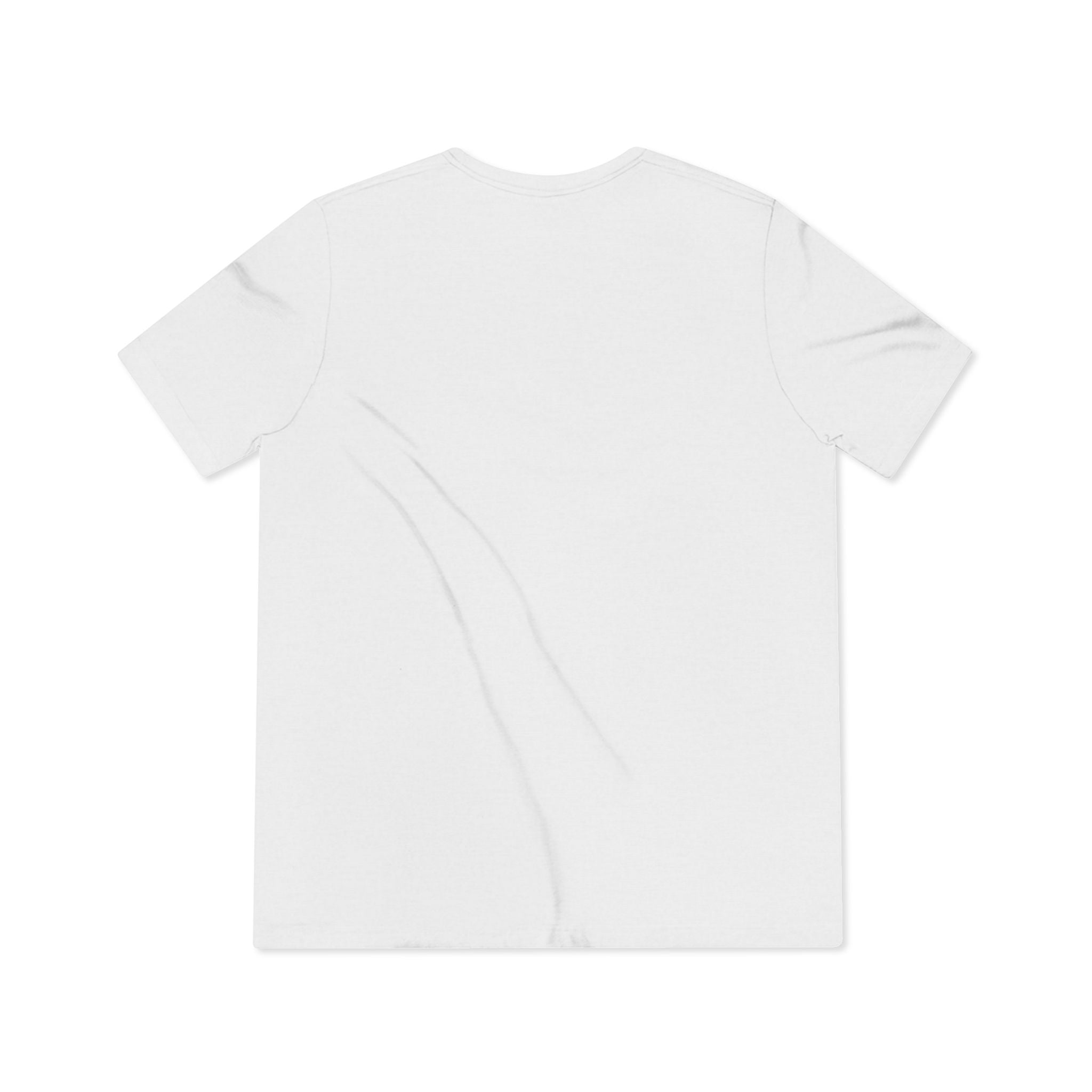 CHIPS Established Light