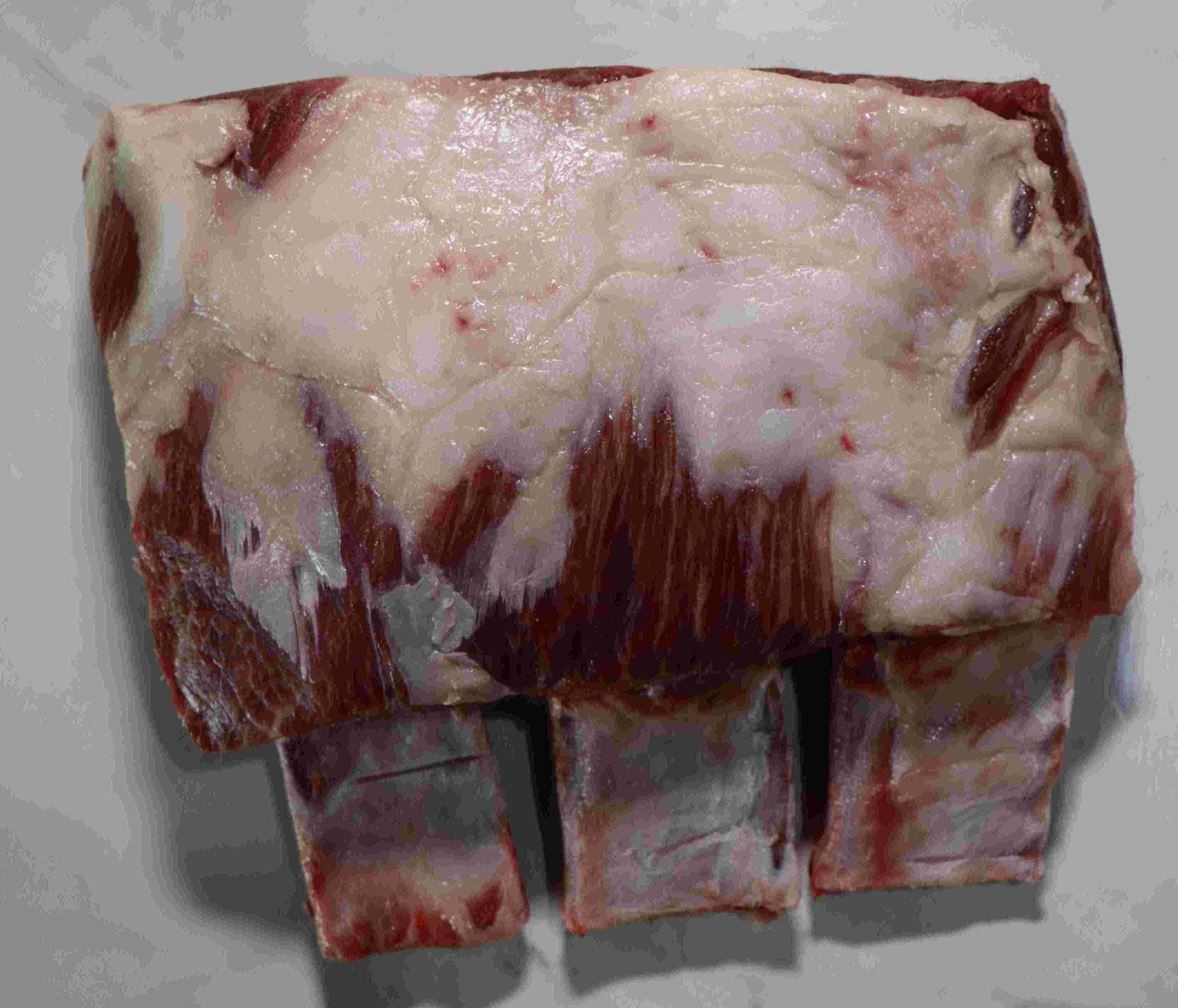 Dino Ribs Wagyu Beef